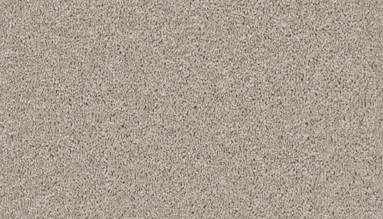 Exceptional Choice Triexta Graphite 532 Carpet Textured 1