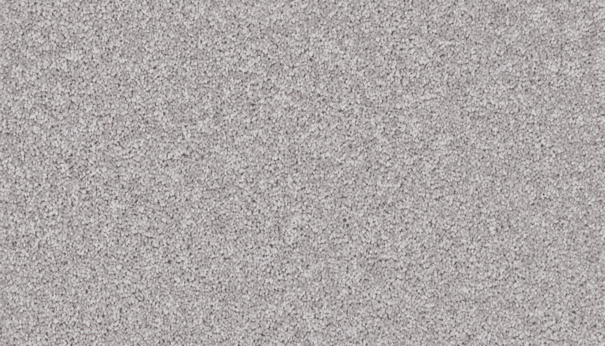 Exceptional Choice Triexta Rocky Bluff 533 Carpet Textured 1