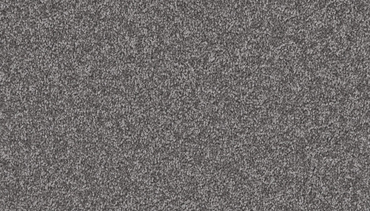 Exceptional Choice Triexta Alden Charcoal 556 Carpet Textured 1