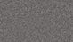 Exceptional Choice Triexta Alden Charcoal 556 Carpet Textured 1