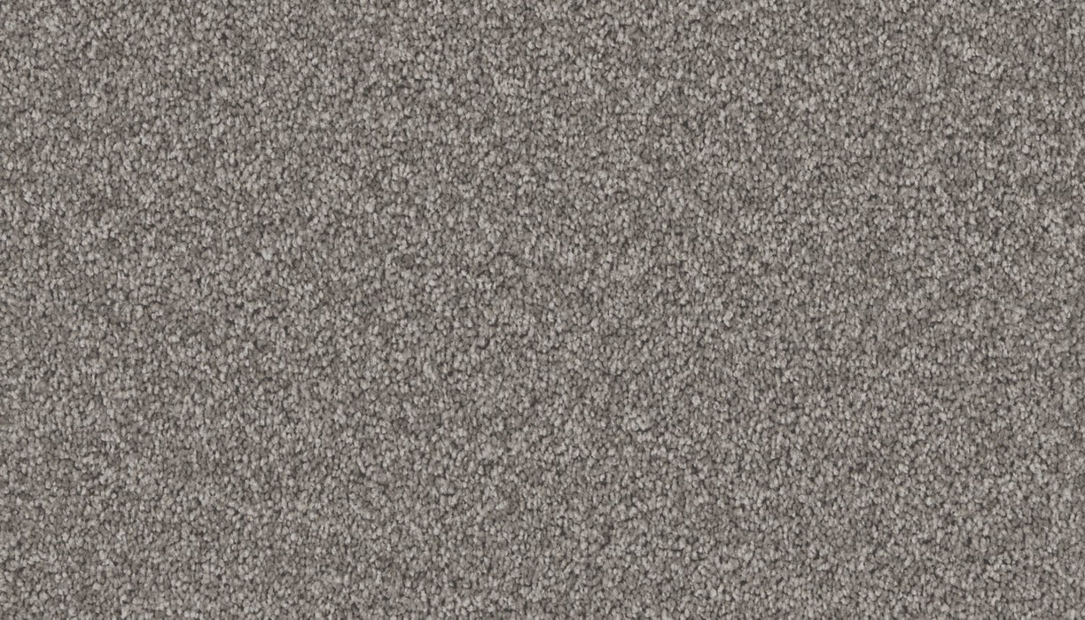 Exceptional Choice Triexta Grandeur 545 Carpet Textured 1