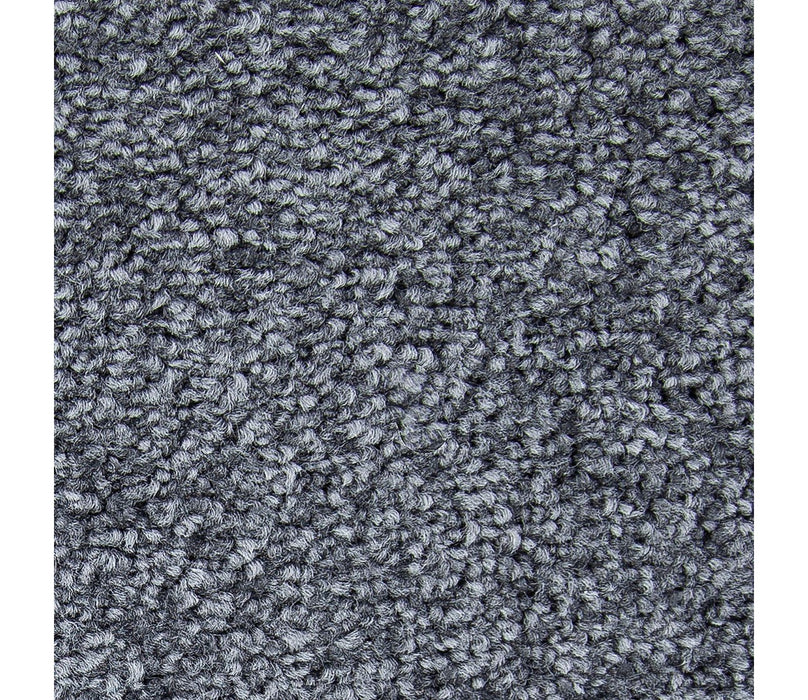Exceptional Choice Triexta Magnetic 555 Carpet Textured 1