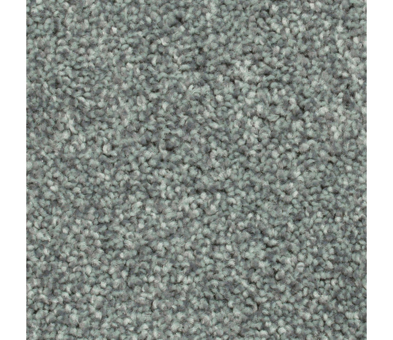 Crestview Polyester Peacock 665 Carpet Textured 1