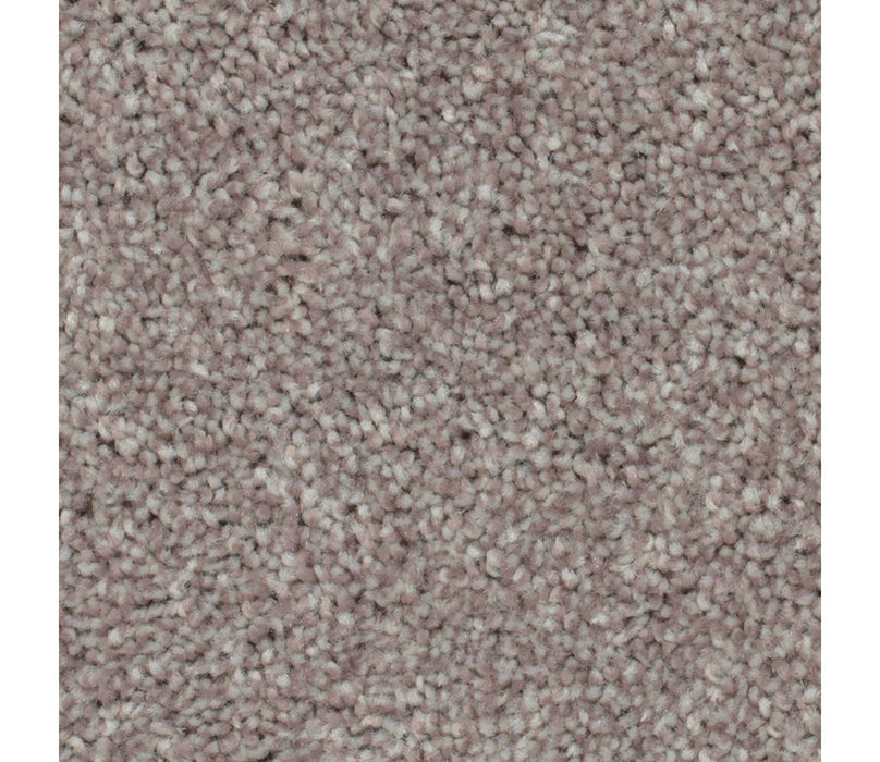 Crestview Polyester Bliss 779 Carpet Textured 1