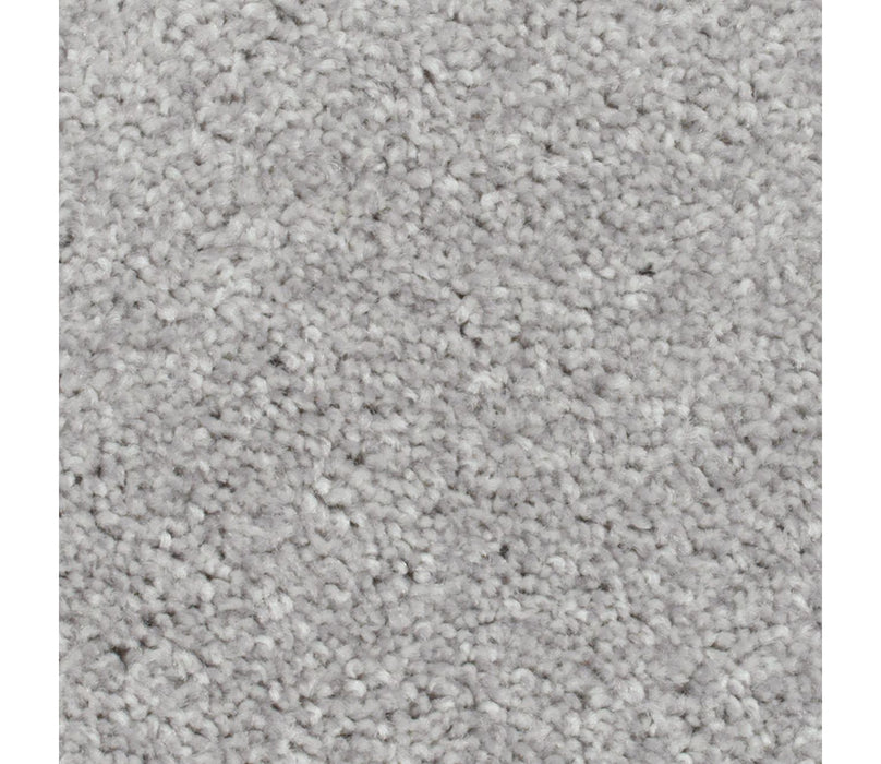 Crestview Polyester Lamb's Ear 923 Carpet Textured 1
