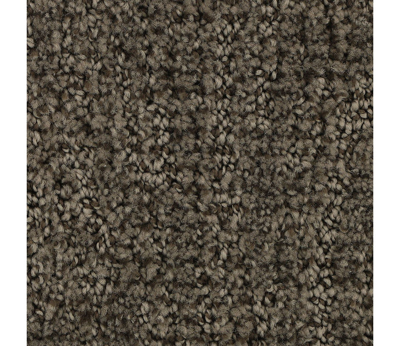 Stylish Trend Polyester Rock Garden 869 Carpet Pattern 1