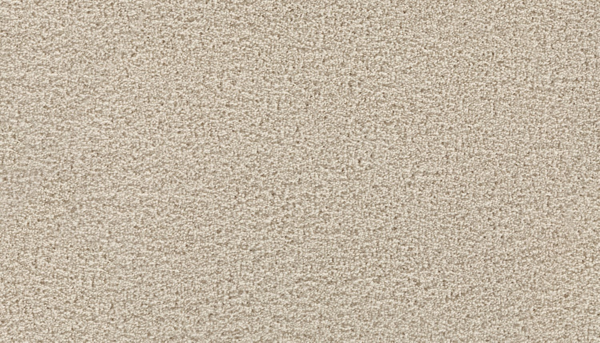 Gentle Path Triexta Linen 708 Carpet Textured 1