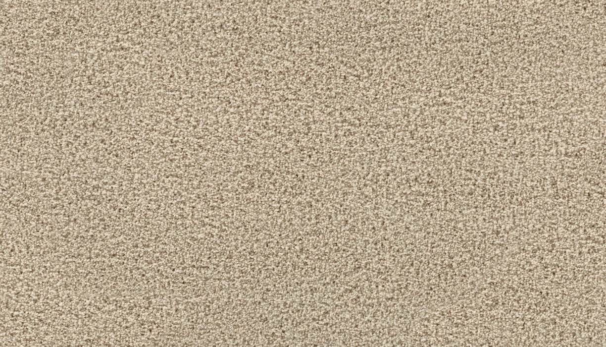 Gentle Path Triexta Malibu Beach 716 Carpet Textured 1