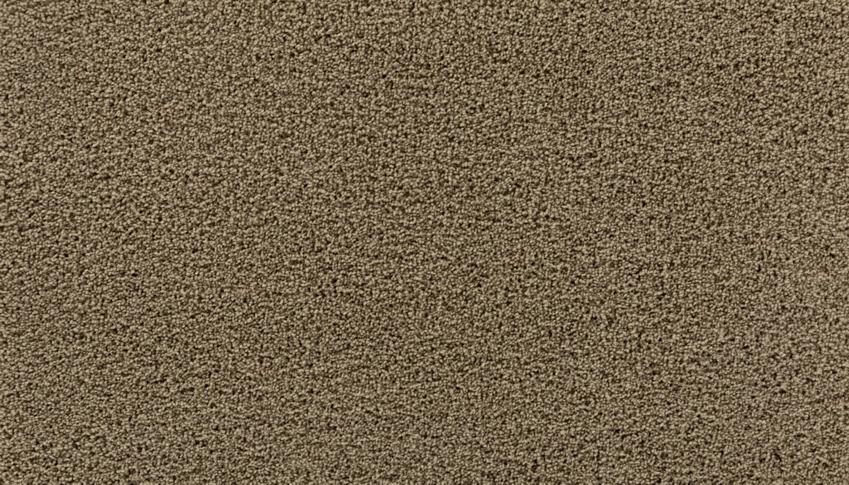 Gentle Path Triexta Tender Moment 786 Carpet Textured 1