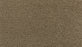 Gentle Path Triexta Tender Moment 786 Carpet Textured 1