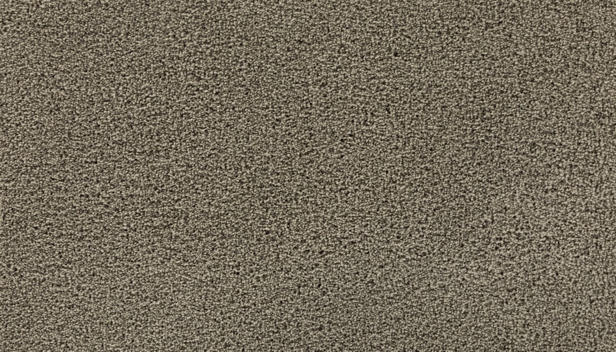 Gentle Path Triexta Explorer 819 Carpet Textured 1