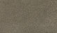Gentle Path Triexta Explorer 819 Carpet Textured 1