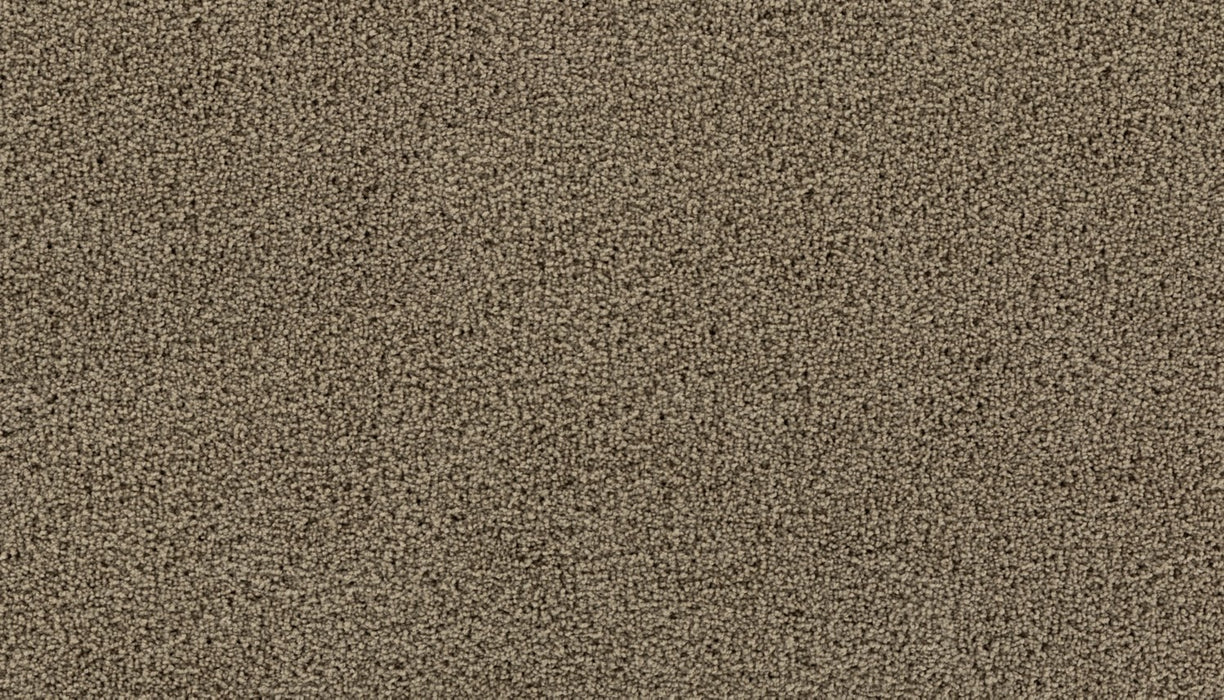 Gentle Path Triexta Salutation 839 Carpet Textured 1