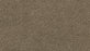 Gentle Path Triexta Salutation 839 Carpet Textured 1