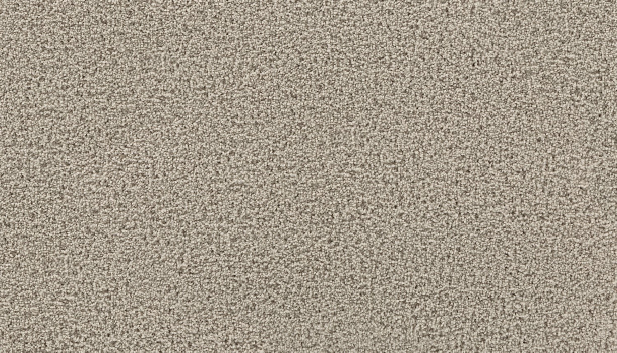 Gentle Path Triexta Spellbound 906 Carpet Textured 1