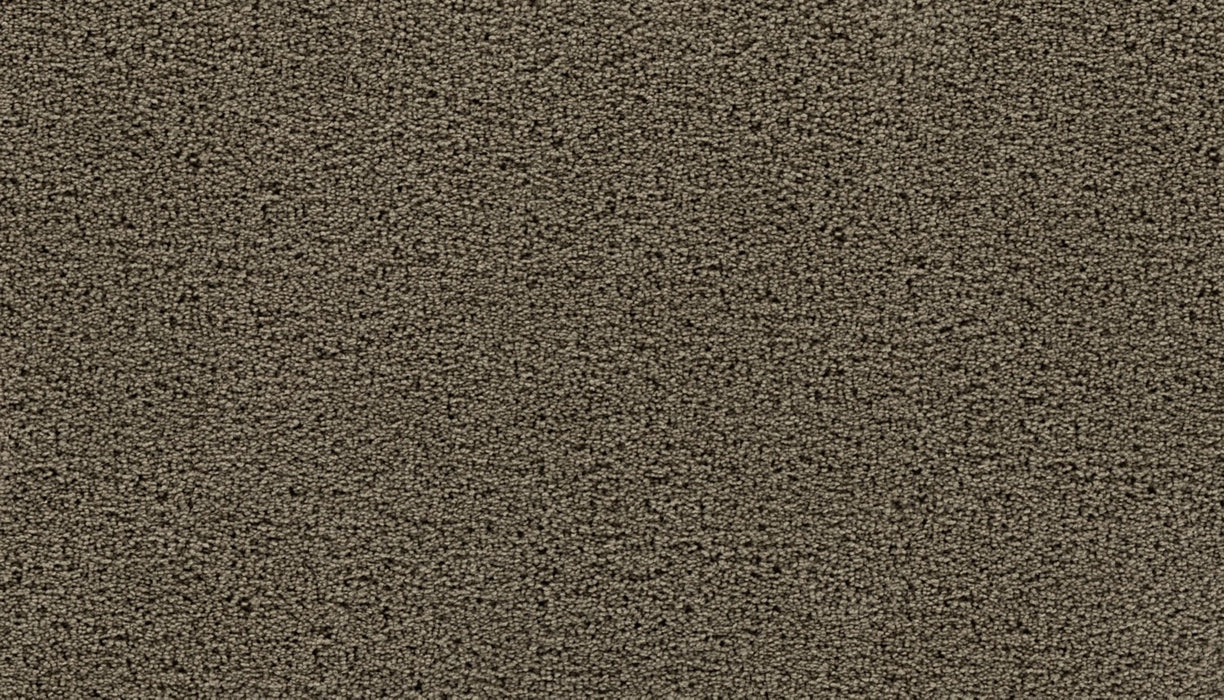 Gentle Path Triexta Rocky Ridge 968 Carpet Textured 1