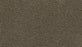 Gentle Path Triexta Rocky Ridge 968 Carpet Textured 1