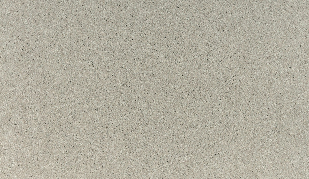 Lakewood Drive II Triexta Cape 728 Carpet Textured 1