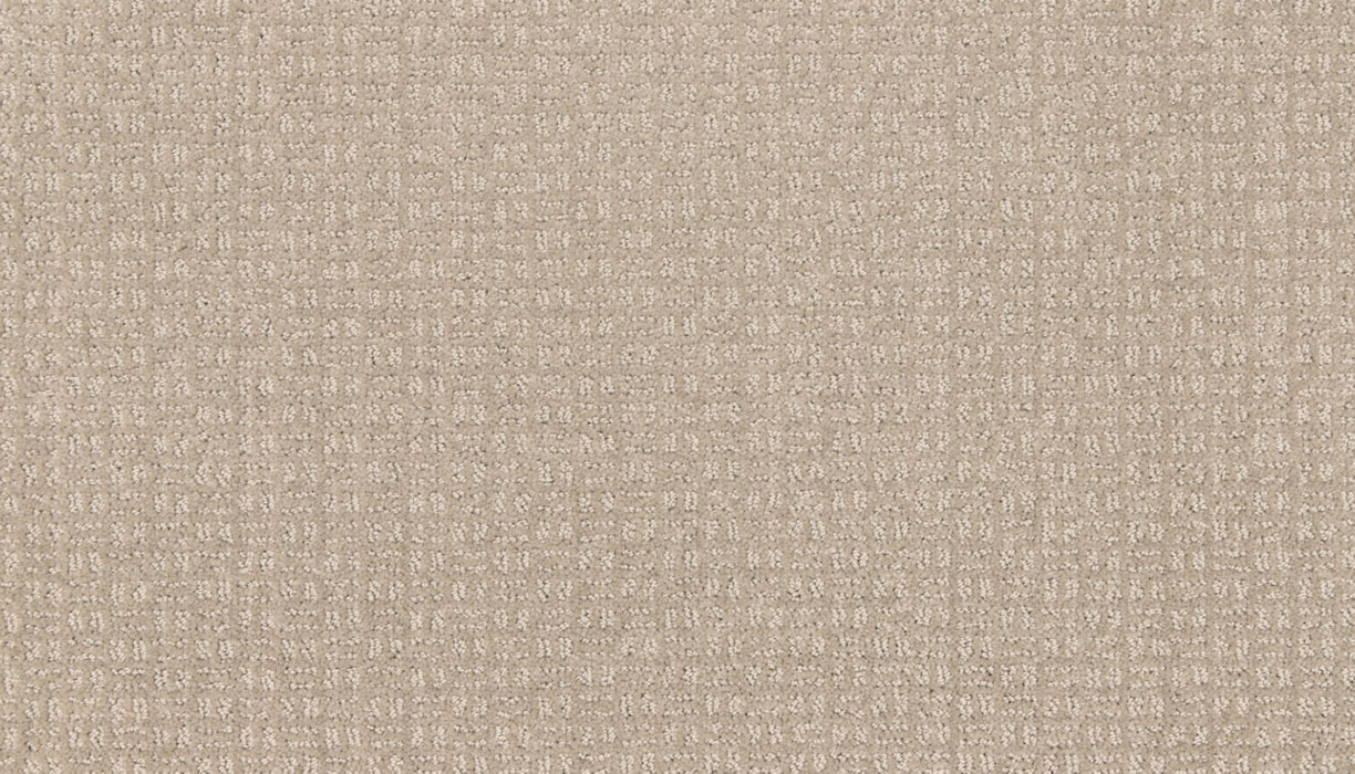 Quality Space Triexta Timeless 779 Carpet Pattern 1