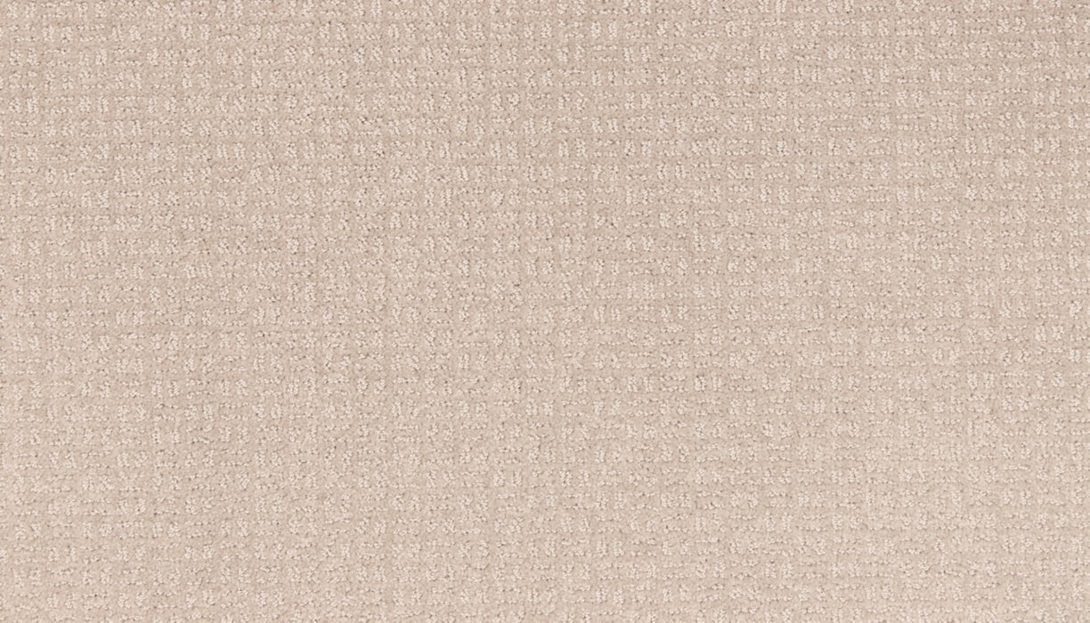 Quality Space Triexta Clam Island 920 Carpet Pattern 1