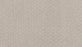 Quality Space Triexta Destiny 947 Carpet Pattern 1