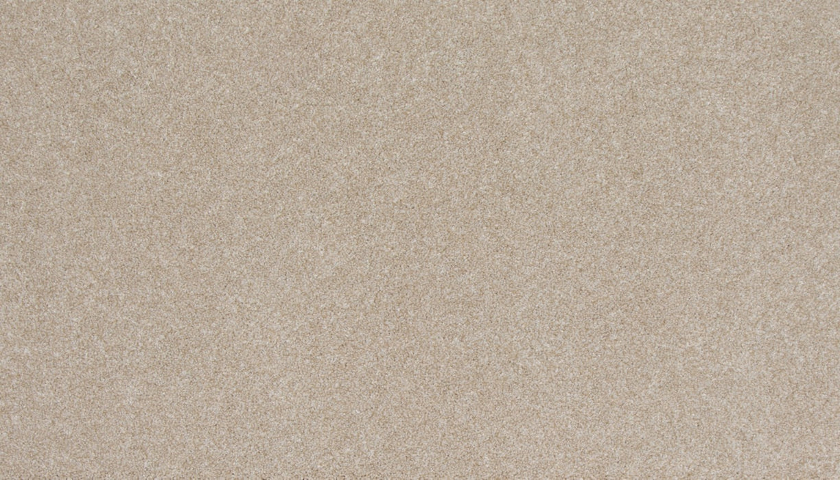 Refined Saga I Polyester Cashmere 702 Carpet Textured 1