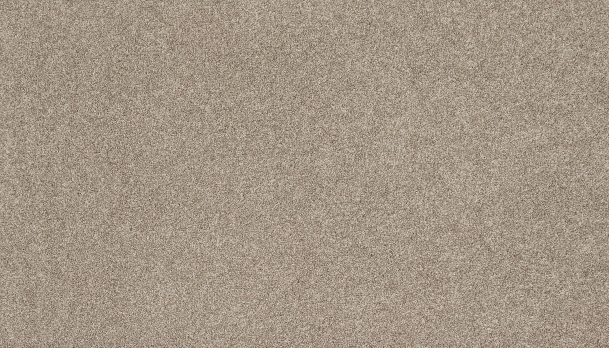 Refined Saga I Polyester Dusky Willow 817 Carpet Textured 1