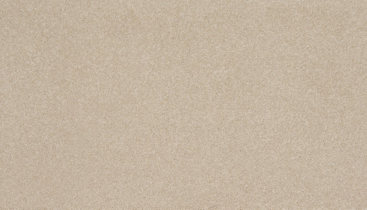 Refined Saga II Polyester Ivory Mist 707 Carpet Textured 1