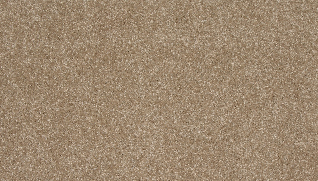 Refined Saga II Polyester Pale Birch 728 Carpet Textured 1