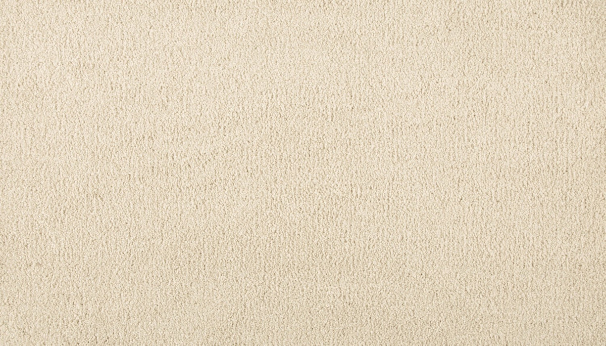 Refined Saga III Polyester Ivory Mist 707 Carpet Textured 1