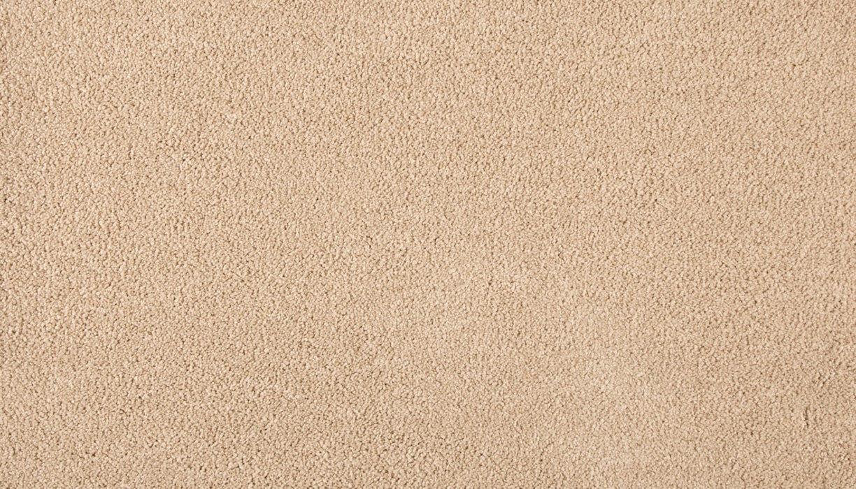 Refined Saga III Polyester Sandy Shores 727 Carpet Textured 1