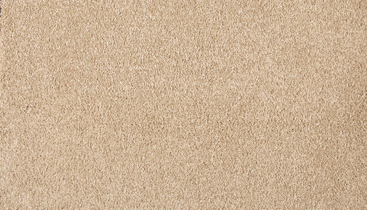 Refined Saga III Polyester Pale Birch 728 Carpet Textured 1