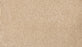 Refined Saga III Polyester Pale Birch 728 Carpet Textured 1