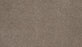 Refined Saga III Polyester Whisper 829 Carpet Textured 1