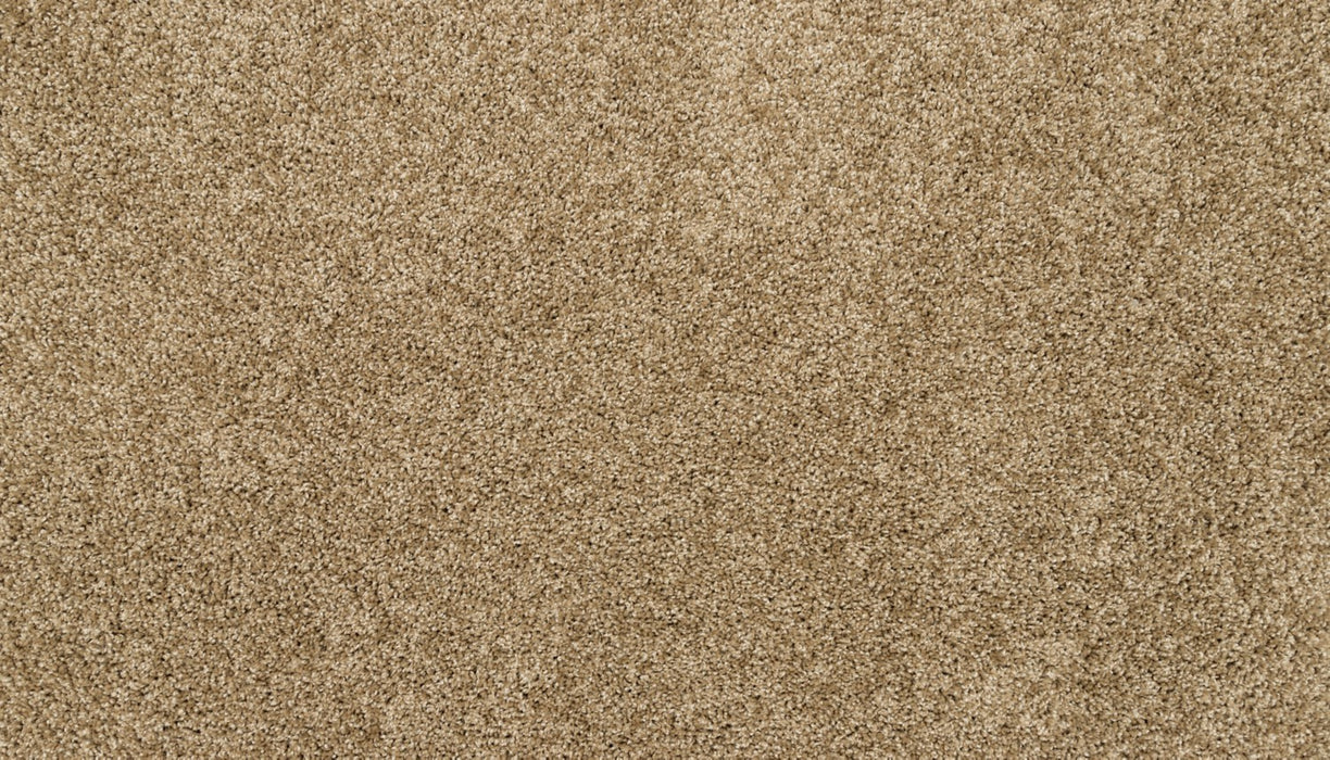 Diffurent Choice I Polyester Parchment 787 Carpet Textured 1