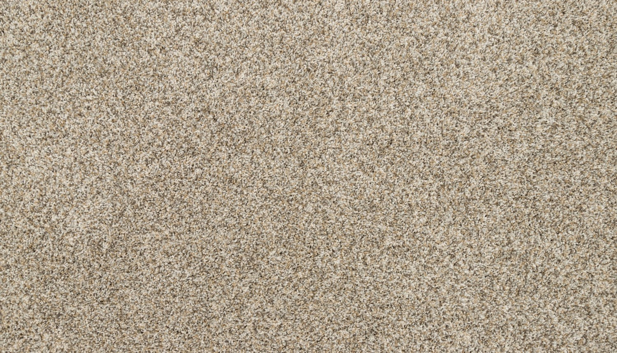 Diffurent Choice III Polyester Soapstone 837 Carpet Textured 1