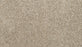 Diffurent Choice III Polyester Soapstone 837 Carpet Textured 1