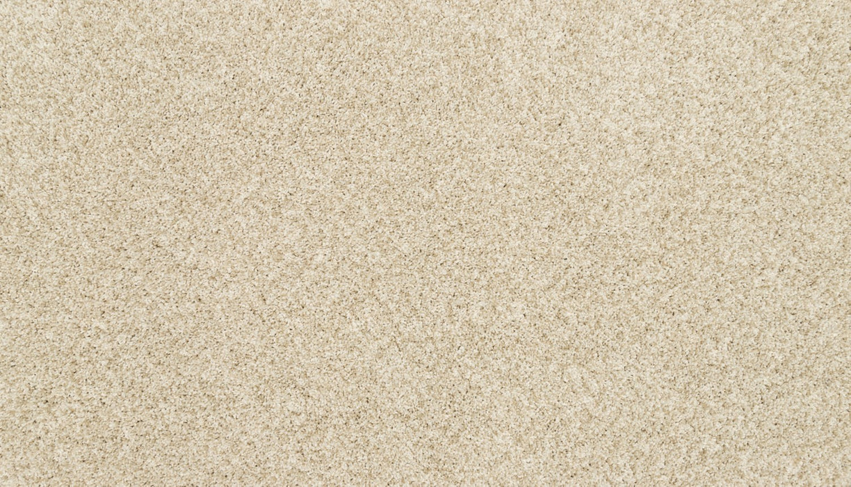 Claws And Effect I Polyester Frosted Almond 702 Carpet Textured 1
