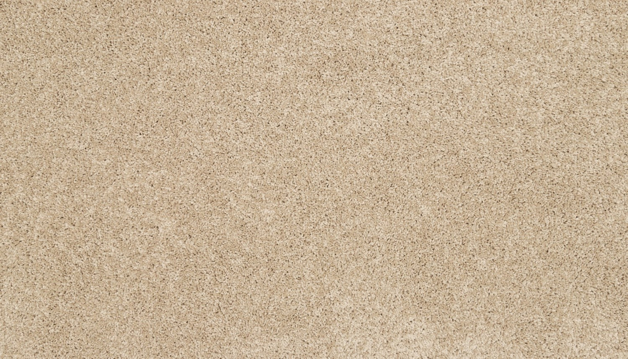 Claws And Effect I Polyester Sandy Beach 737 Carpet Textured 1