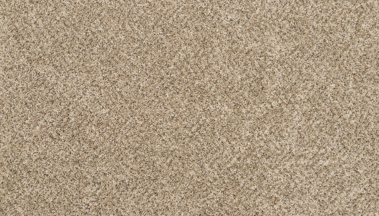 Claws And Effect I Polyester Bisque 809 Carpet Textured 1