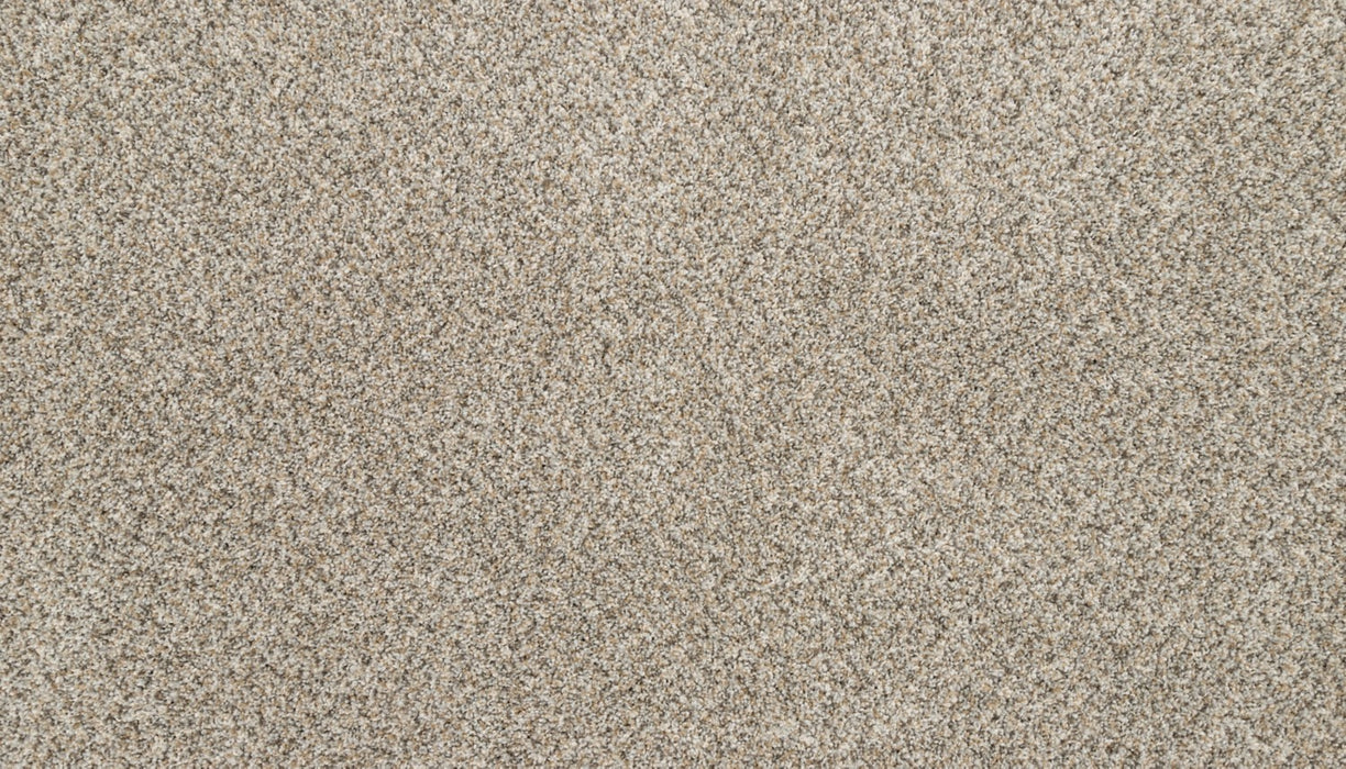 Claws And Effect I Polyester Soapstone 837 Carpet Textured 1