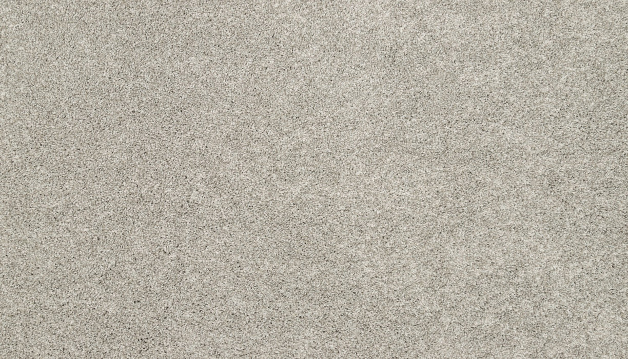 Claws And Effect I Polyester Mercury 909 Carpet Textured 1