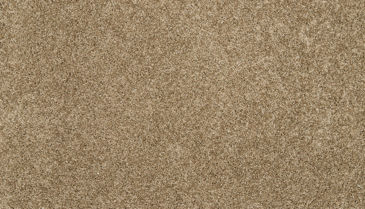 Claws And Effect II Polyester Parchment 787 Carpet Textured 1