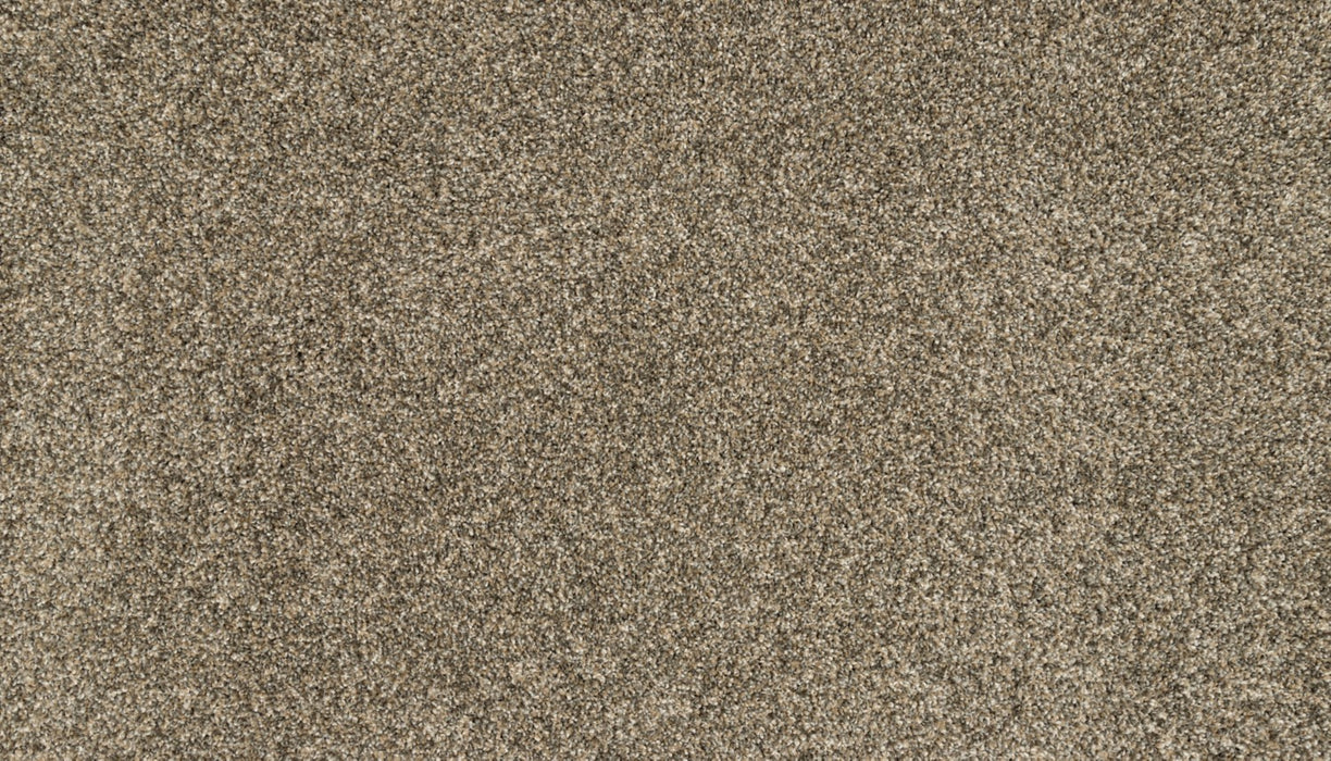 Claws And Effect II Polyester Cracked Wheat 847 Carpet Textured 1