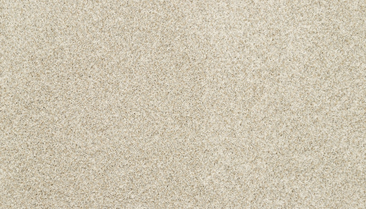 Claws And Effect II Polyester London Fog 917 Carpet Textured 1
