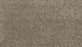 Claws And Effect II Polyester Gravity 964 Carpet Textured 1