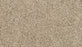 Purrsonality I Polyester Frosty Spice 769 Carpet Textured 1