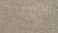 Purrsonality I Polyester Pebble Trail 959 Carpet Textured 1