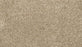 Raise The Woof II Polyester Bisque 809 Carpet Textured 1