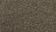 Purrsonality II Polyester Dark Hour 598 Carpet Textured 1